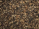 CARDAMOM SEED WHOLE 1KG WINDSOR FARM